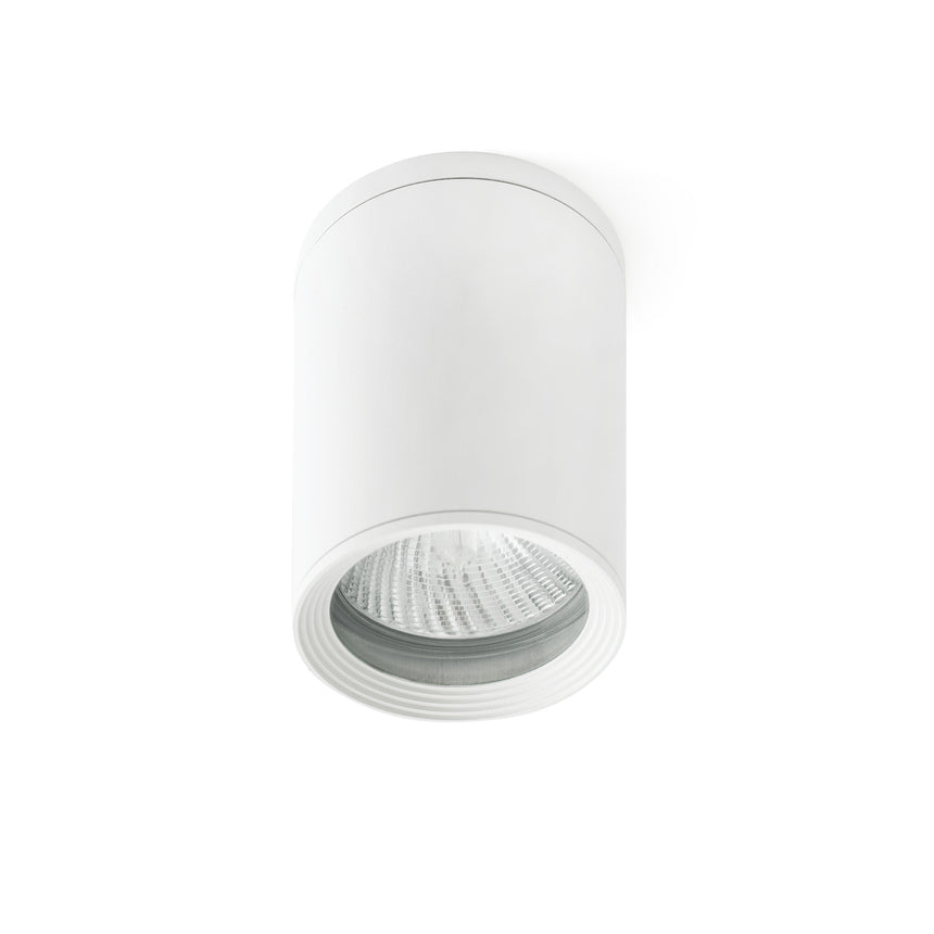 Faro Tasa Plafon Blanco 1L Par30 75W